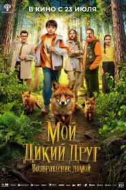 My Wild Friend: Returning Home
