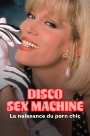 Disco Sex Machine : La naissance du porn chic