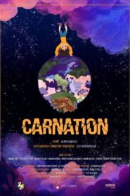 Carnation