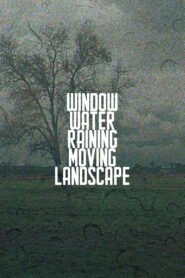 Window.Water.Raining.Moving.Landscape.