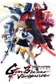 Magical Girl Lyrical NANOHA EXCEEDS Gun Blaze Vengeance