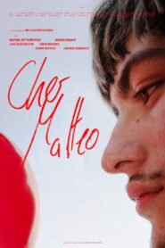 Cher Matteo
