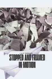 Stopped And Framed In Motion