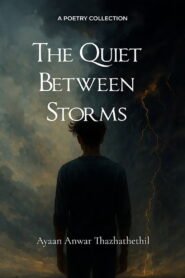 The Quiet Between Storms