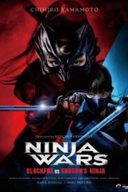 Ninja Wars: BlackFox vs Shogun’s Ninja